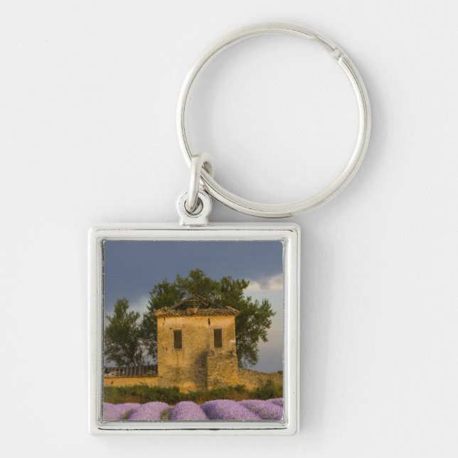 France, Provence. Field of lavender and Keychain (Front)