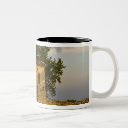 France Provence Field of lavender and Two_Tone Coffee Mug