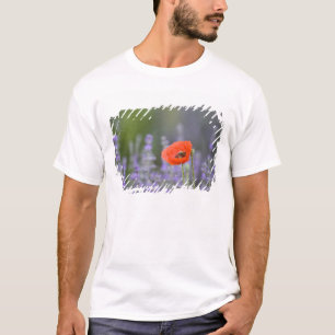 France, Provence. Lone poppy in field of T-Shirt