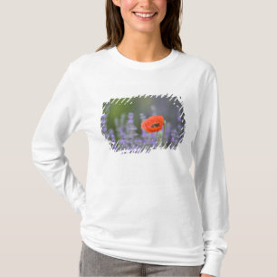 France, Provence. Lone poppy in field of T-Shirt