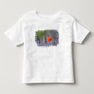 France, Provence. Lone poppy in field of Toddler T-shirt