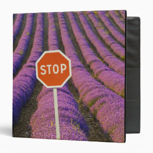 France, Provence. Rows of lavender and stop Binder