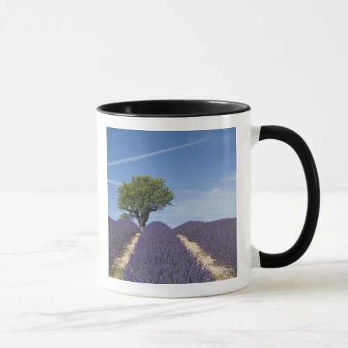 France Provence Rows of lavender in bloom 4 Mug