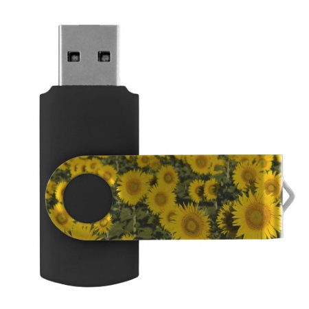 France, Provence, Valensole. Field Of Usb Flash Drive