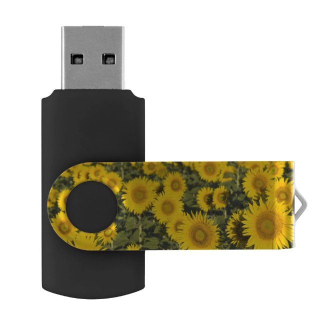 France, Provence, Valensole. Field of USB Flash Drive (Opened)