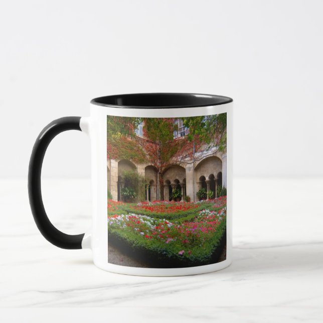 France, St. Remy de Provence, cloisters at 2 Mug (Left)