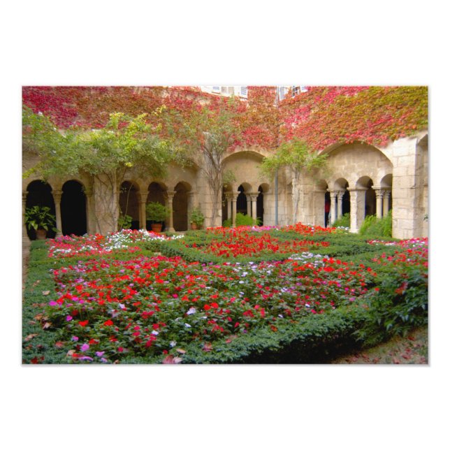 France, St. Remy de Provence, cloisters at 2 Photo Print (Front)