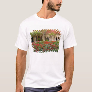 France, St. Remy de Provence, cloisters at 3 T-Shirt