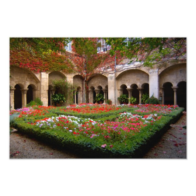 France, St. Remy de Provence, cloisters at Photo Print (Front)