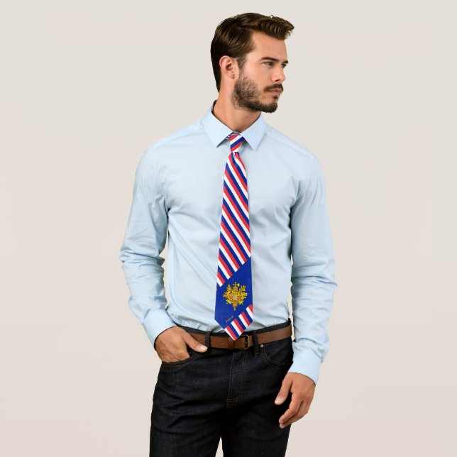 France Stripes Tie, business French Flag fashion Neck Tie (In Situ)
