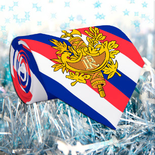 France Ties, fashion French Flag business Neck Tie