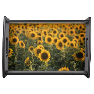France, Vaucluse, sunflowers field Serving Tray
