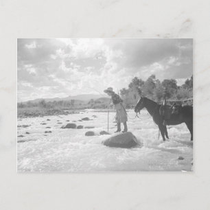 Frances Phelps Belden fly fishing in the river Postcard