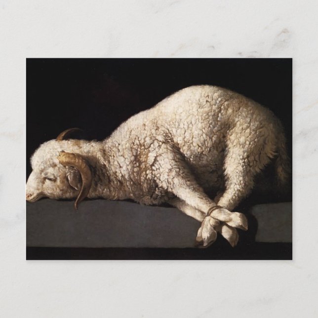 Francisco de Zurbaran- Agnus Dei Postcard (Front)
