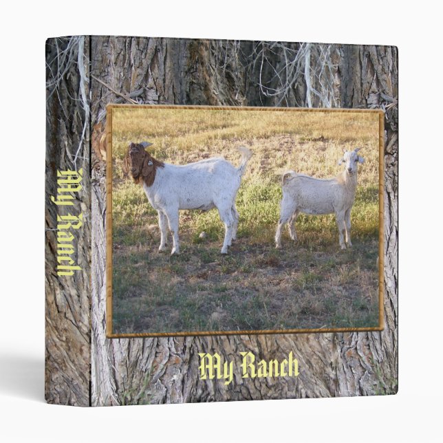 Franco and Friend 3 Ring Binder (Front/Spine)