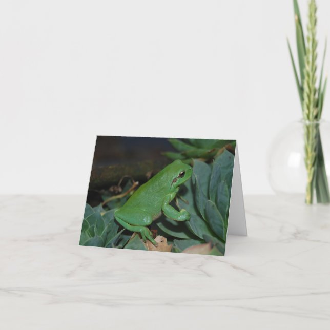 Francoise the Frog Holiday Card (Front)