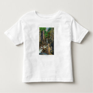 Franconia Notch State Park Toddler T-shirt