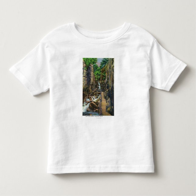 Franconia Notch State Park Toddler T-shirt (Front)
