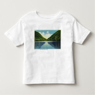 Franconia Notch State Park View of Profile Lake Toddler T-shirt