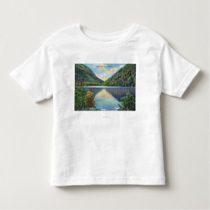 Franconia Notch View of Profile Lake Toddler T-shirt