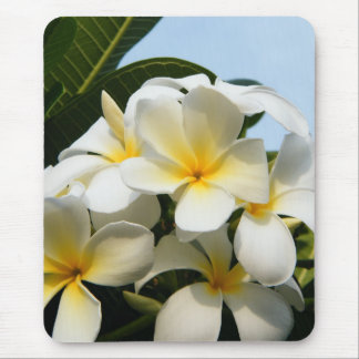 Frangipani Bliss Mouse Pad