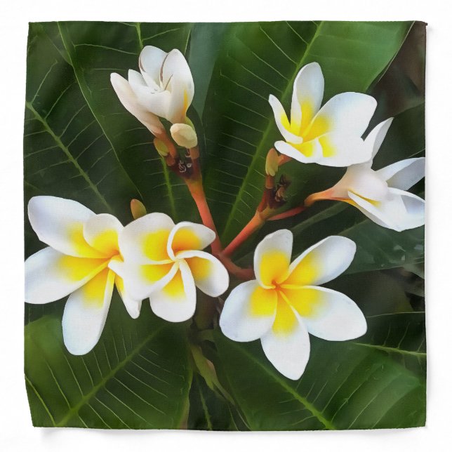 Frangipani Blossom Cluster Artistic Style Bandana (Front)