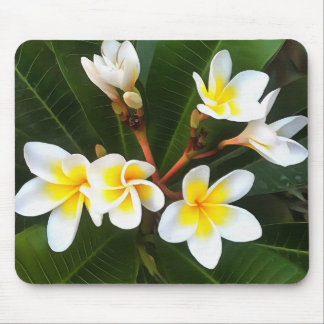 Frangipani Blossom Cluster Artistic Style Mouse Pad