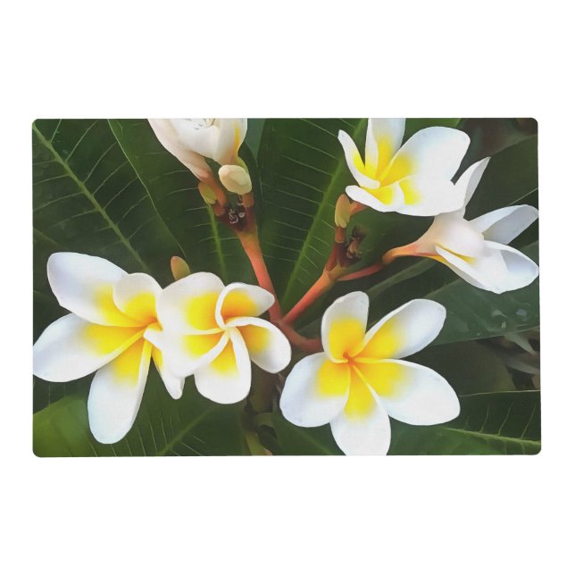 Frangipani Blossom Cluster Artistic Style Placemat (Front)