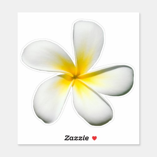 Frangipani Blossom Sticker