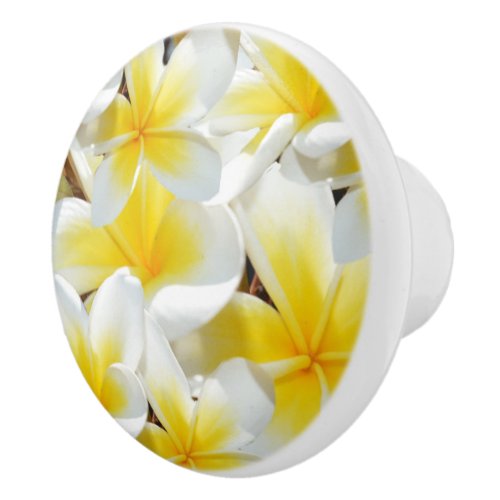 Frangipani Bouquet Ceramic Draw Knob Ceramic Knob