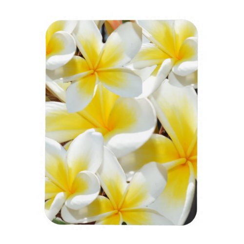 Frangipani Bouquet Flexible Magnet