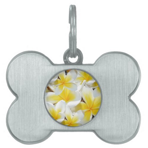 Frangipani_Bouquet Pet Tag