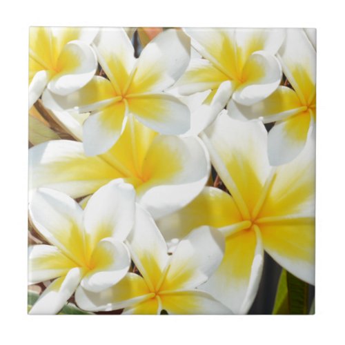 Frangipani_Bouquet Tile