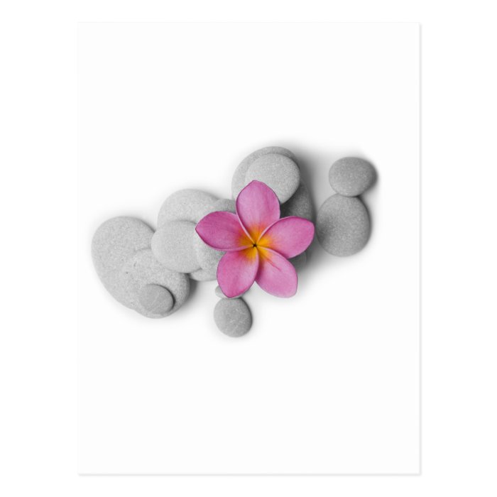 Frangipani Calm Postcards