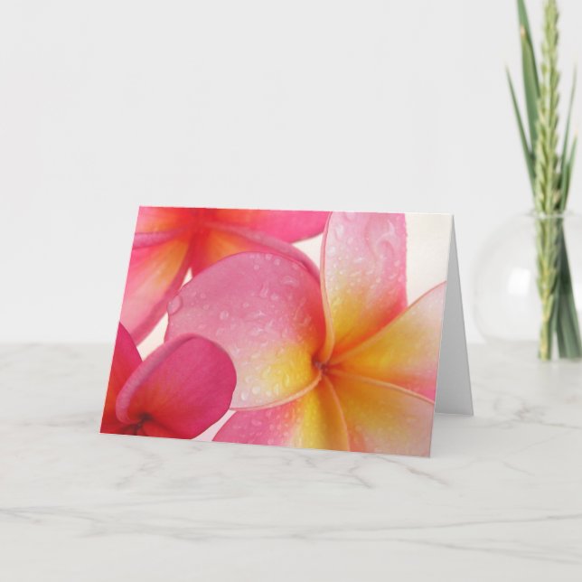 Frangipani Card (Front)