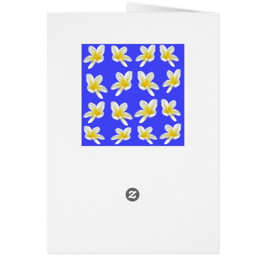 Frangipani_Essece_Of_Simmer (Back)