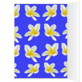 Frangipani_Essece_Of_Simmer (Inside (Left))