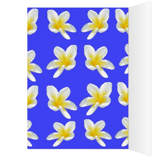 Frangipani_Essece_Of_Simmer (Inside (Left))