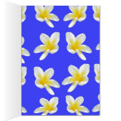 Frangipani_Essece_Of_Simmer (Inside (Right))