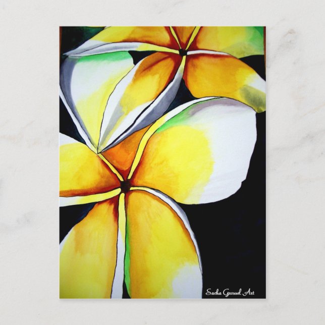 Frangipani flower art postcard (Front)
