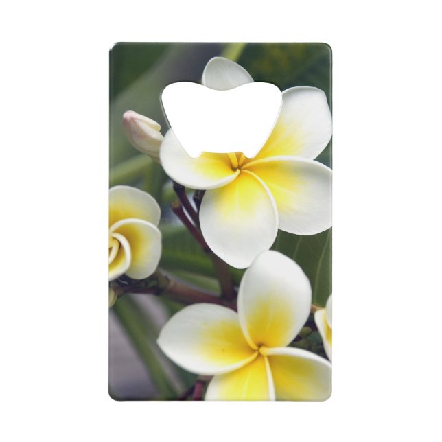 Frangipani flower Cook Islands Credit Card Bottle Opener (Front)