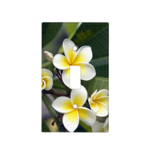 Frangipani flower Cook Islands Light Switch Cover