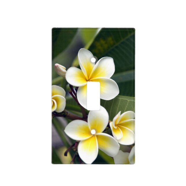 Frangipani flower Cook Islands Light Switch Cover (Front)