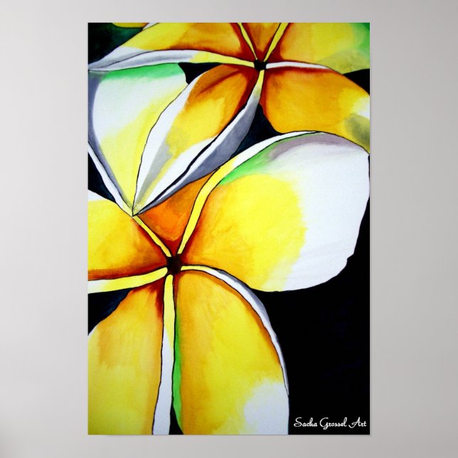 Frangipani flower poster by Sacha Grossel Art (Front)