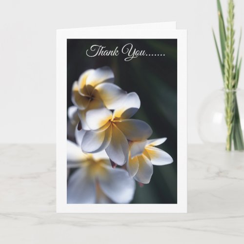 Frangipani flower thank you card