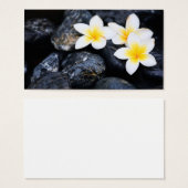 Frangipani flowers (Front & Back)