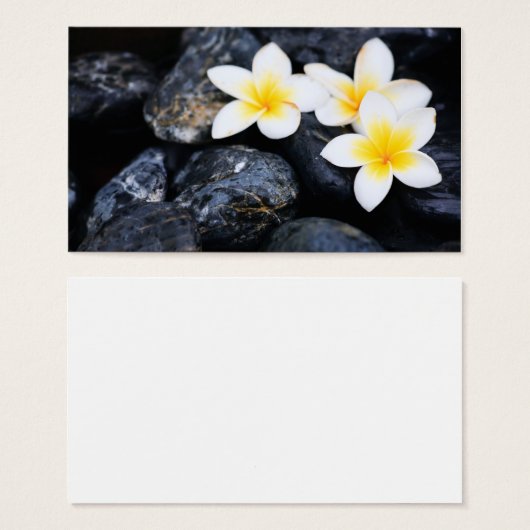 Frangipani flowers (Front & Back)