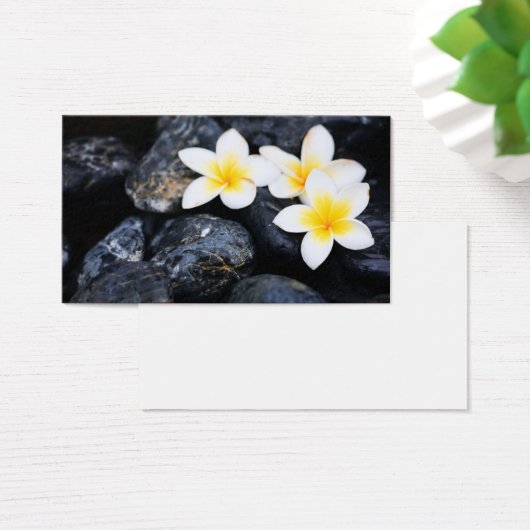 Frangipani flowers (Desk)