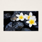 Frangipani flowers (Front)