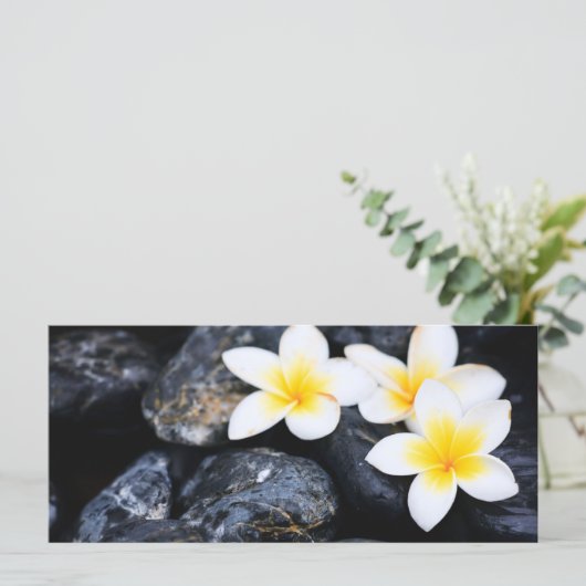 Frangipani flowers (Standing Front)